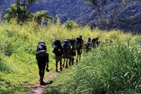Trekking through the verdant scenery of Papua New Guinea. Photo credit: Ken Harris